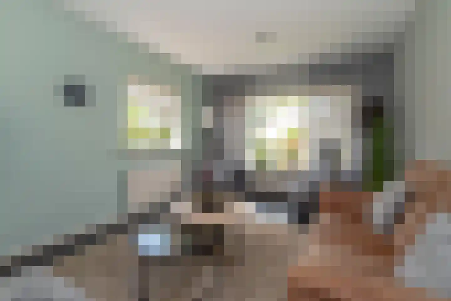 Rabbi Keizerstraat 25 Rijssen thumbnail 11