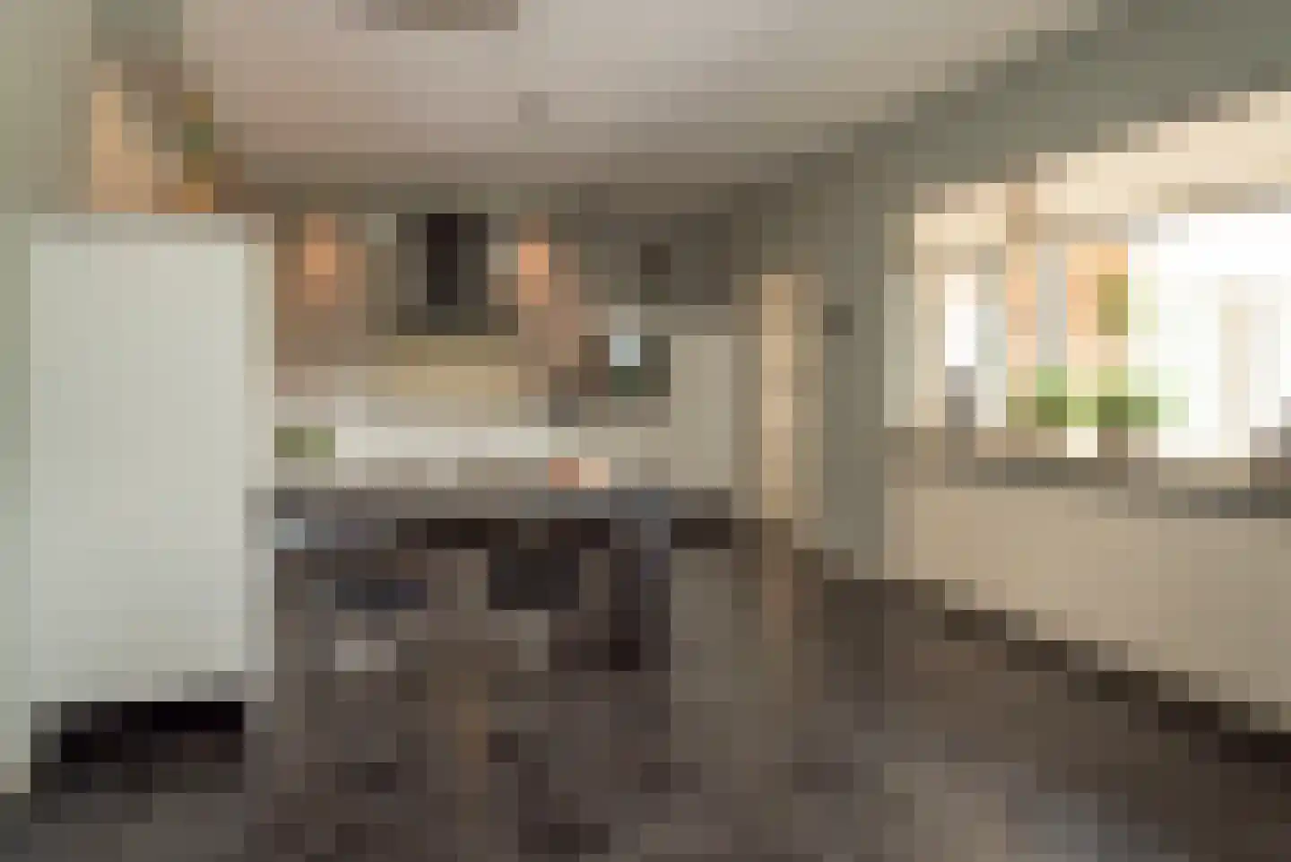 Rabbi Keizerstraat 25 Rijssen thumbnail 16