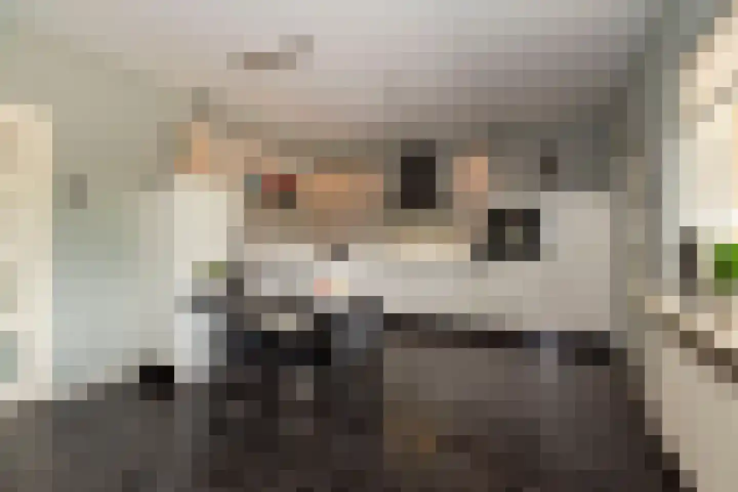 Rabbi Keizerstraat 25 Rijssen thumbnail 17