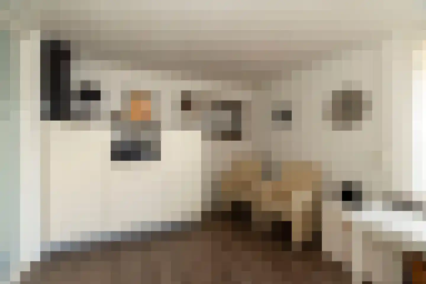 Rabbi Keizerstraat 25 Rijssen thumbnail 24
