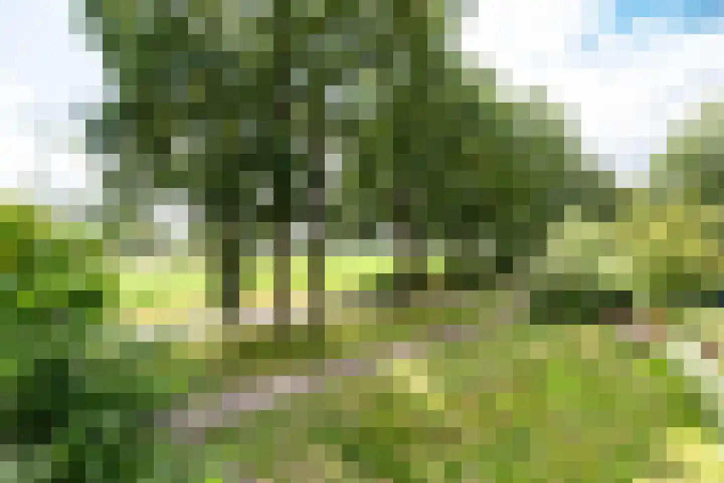 Rabbi Keizerstraat 25 Rijssen thumbnail 54