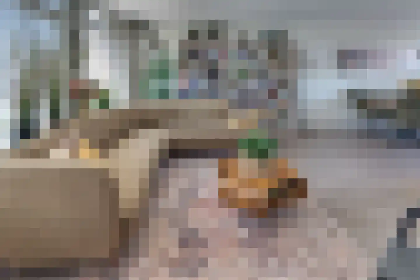 Rabbistraat 96 Harderwijk thumbnail 10