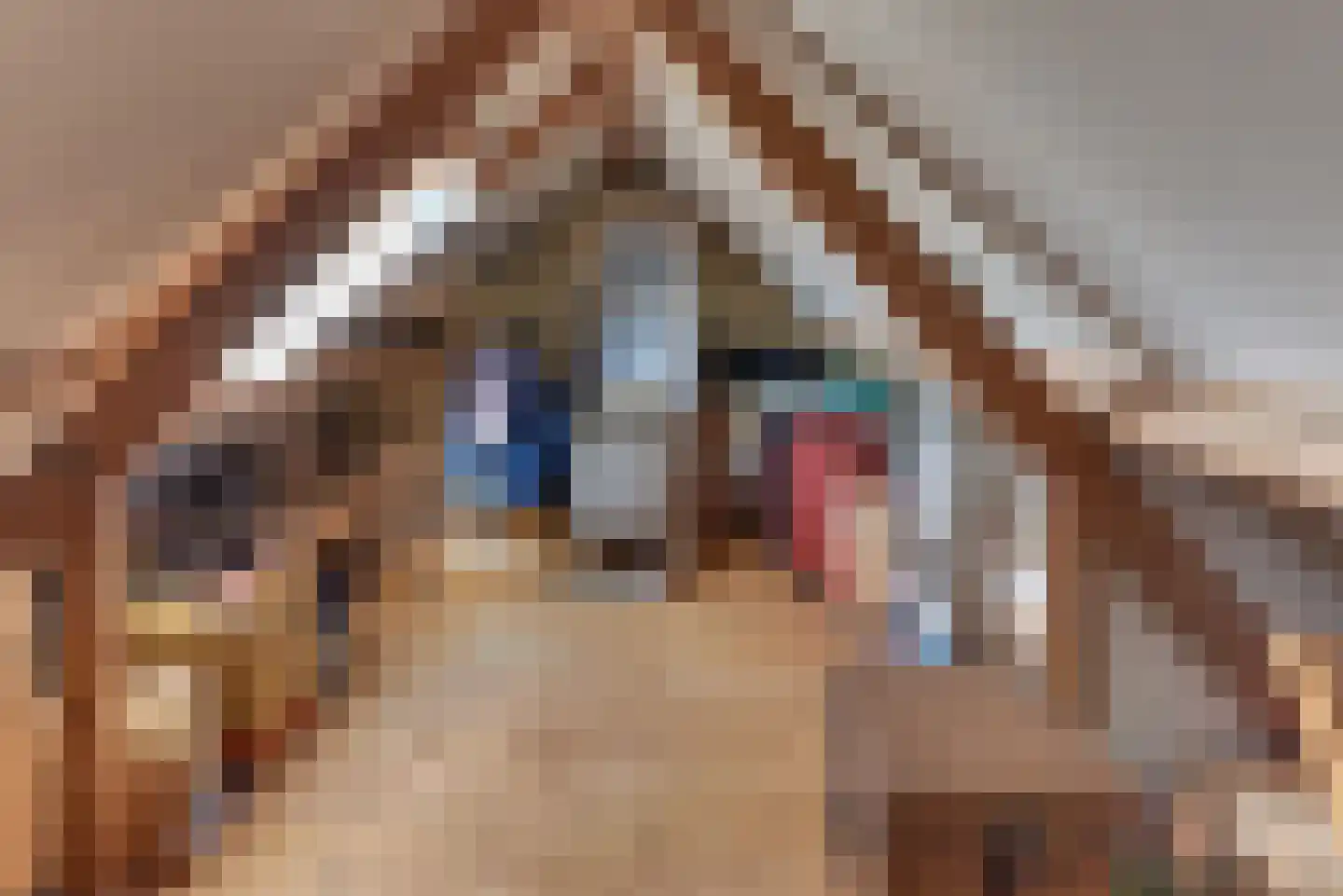 Rabbistraat 96 Harderwijk thumbnail 47