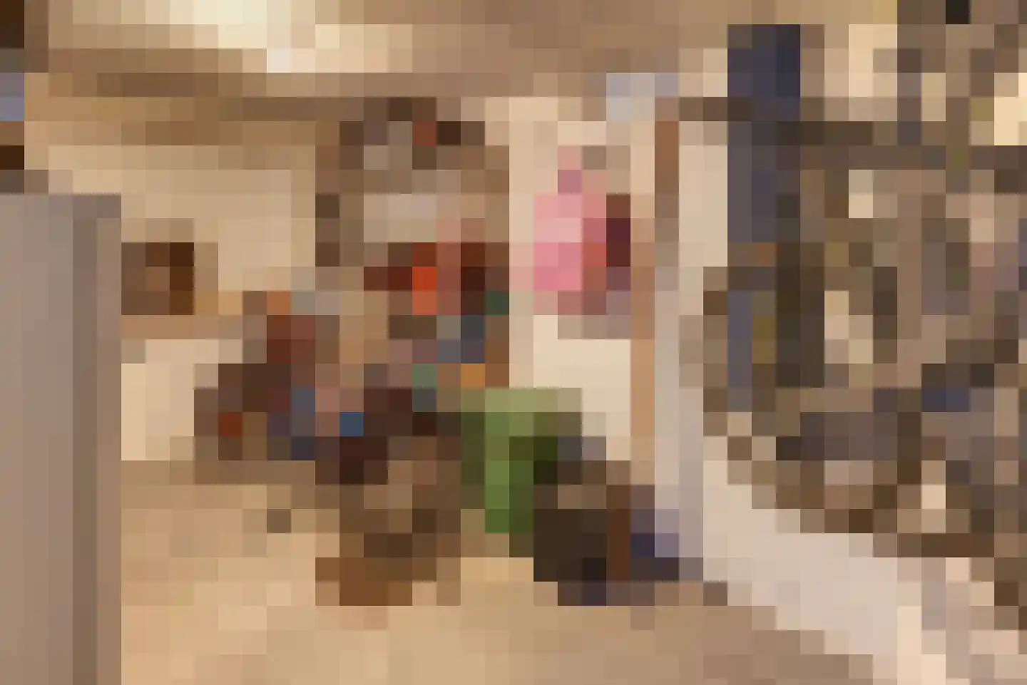 Rabbistraat 96 Harderwijk thumbnail 53