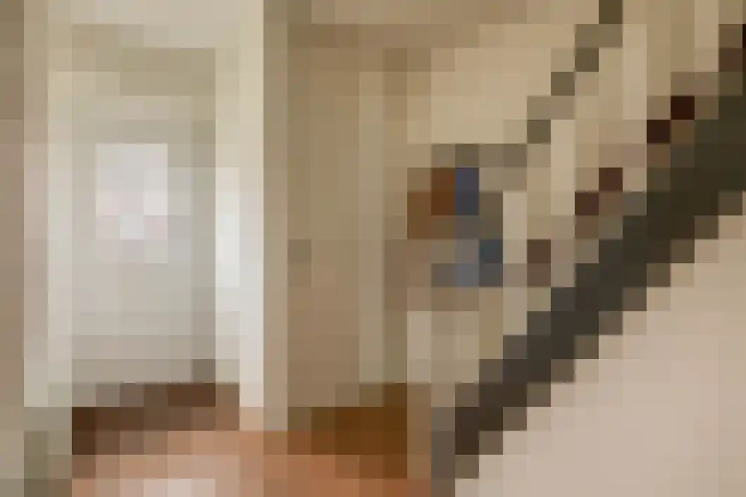 Rabenhauptstraat 16 Bad Nieuweschans thumbnail 11