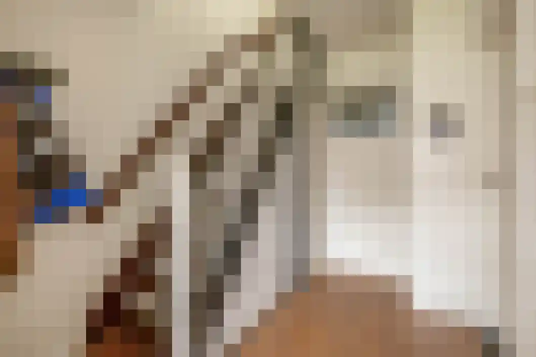 Rabenhauptstraat 16 Bad Nieuweschans thumbnail 13