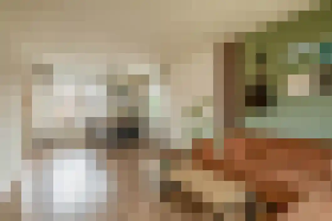 Rabenhauptstraat 16 Bad Nieuweschans thumbnail 16