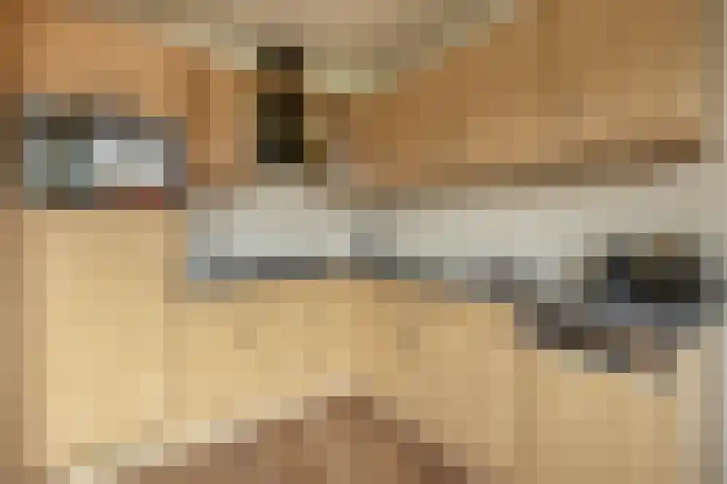 Rabenhauptstraat 16 Bad Nieuweschans thumbnail 20