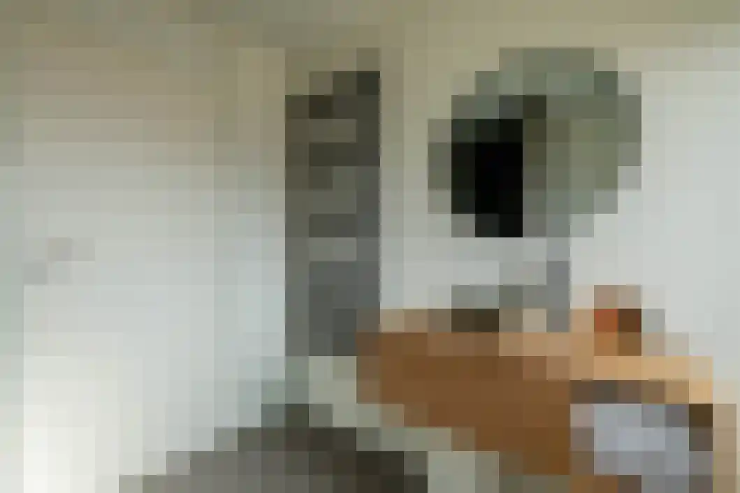 Rabenhauptstraat 16 Bad Nieuweschans thumbnail 33