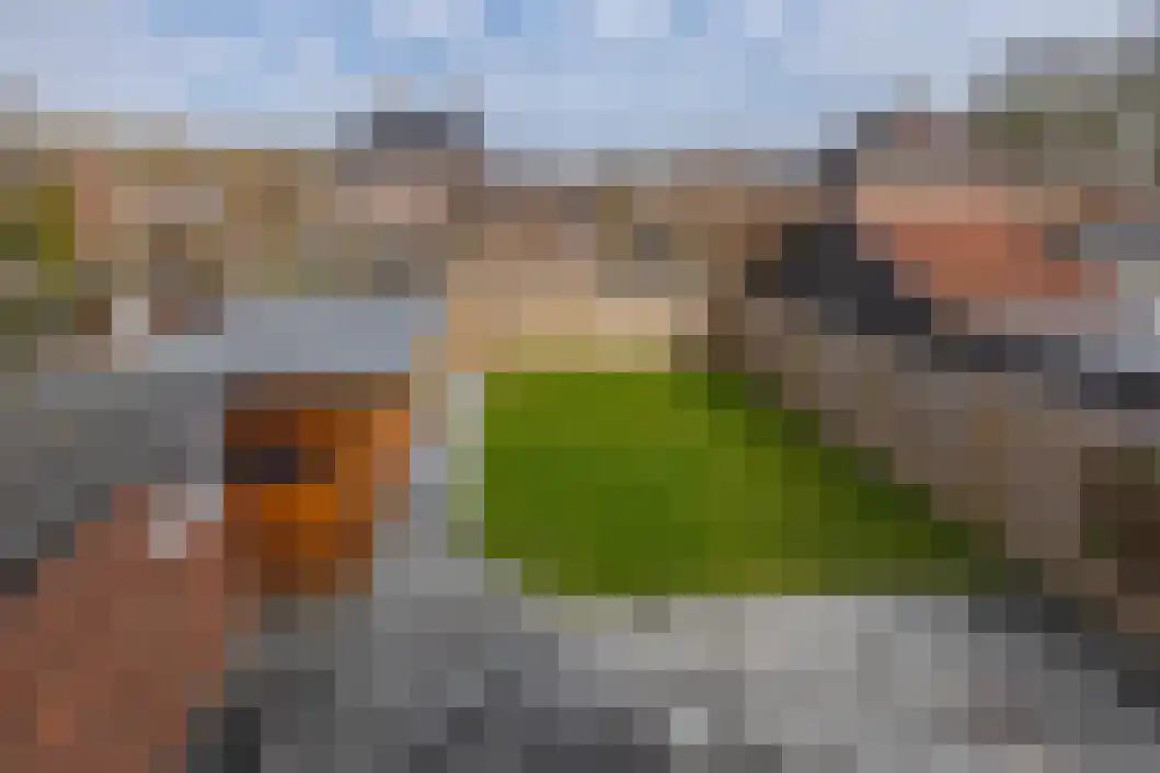 Rabenhauptstraat 16 Bad Nieuweschans thumbnail 40