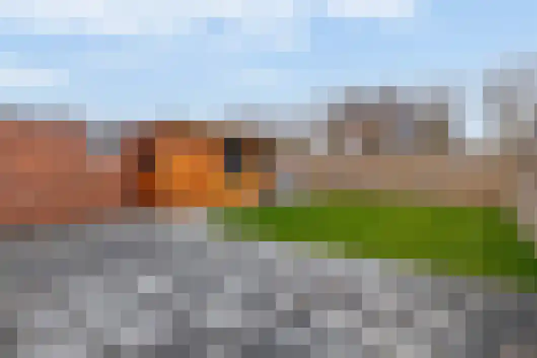 Rabenhauptstraat 16 Bad Nieuweschans thumbnail 5