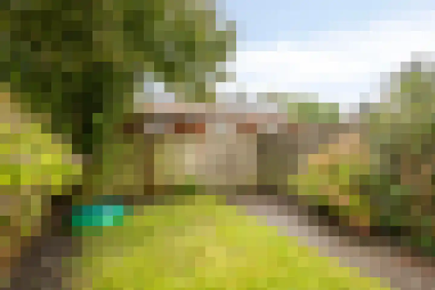 Rabenhauptstraat 27 Assen thumbnail 23