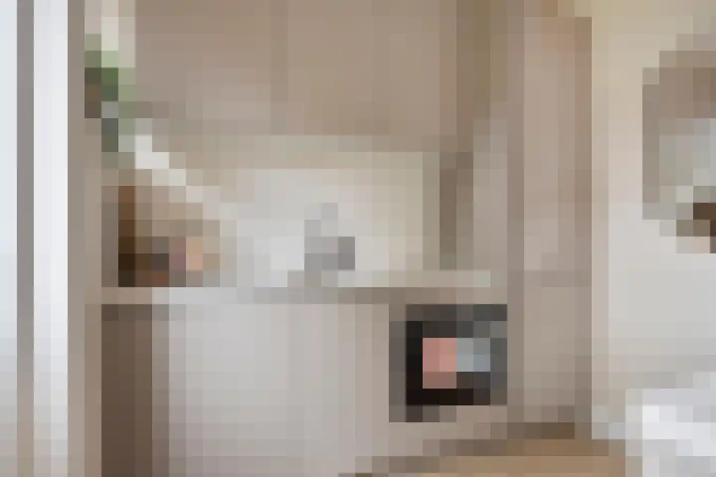 Rabenhauptstraat 27 Assen thumbnail 8