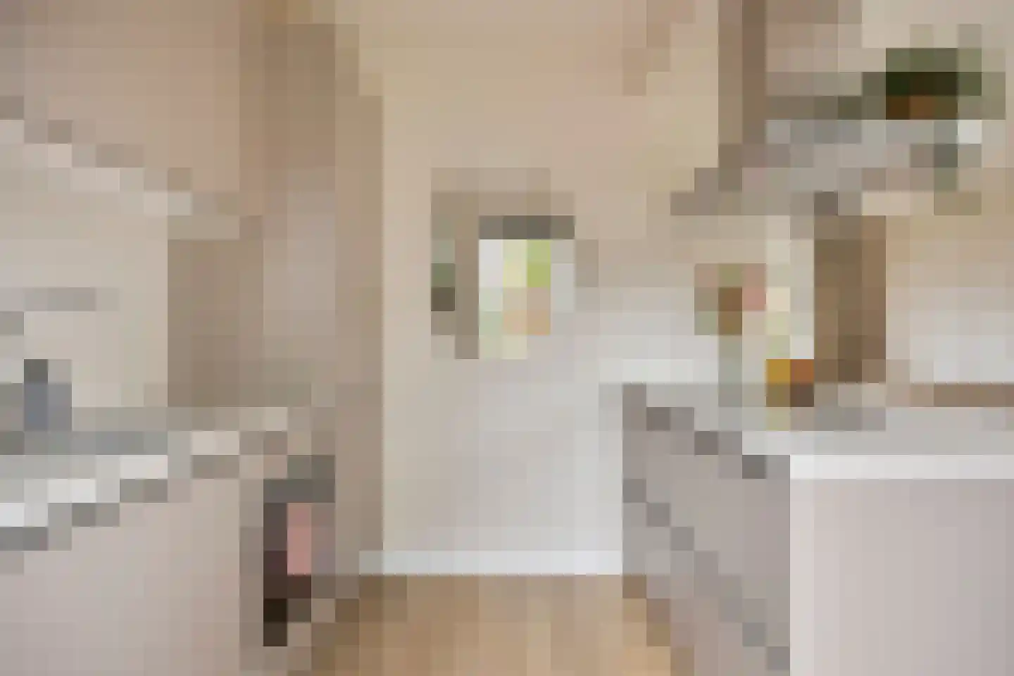 Rabenhauptstraat 27 Assen thumbnail 9