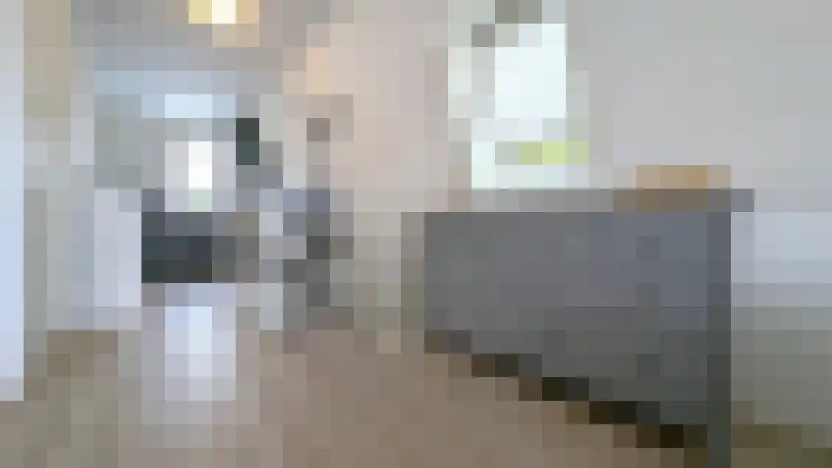 Rabenhauptstraat 27 Groningen thumbnail 6