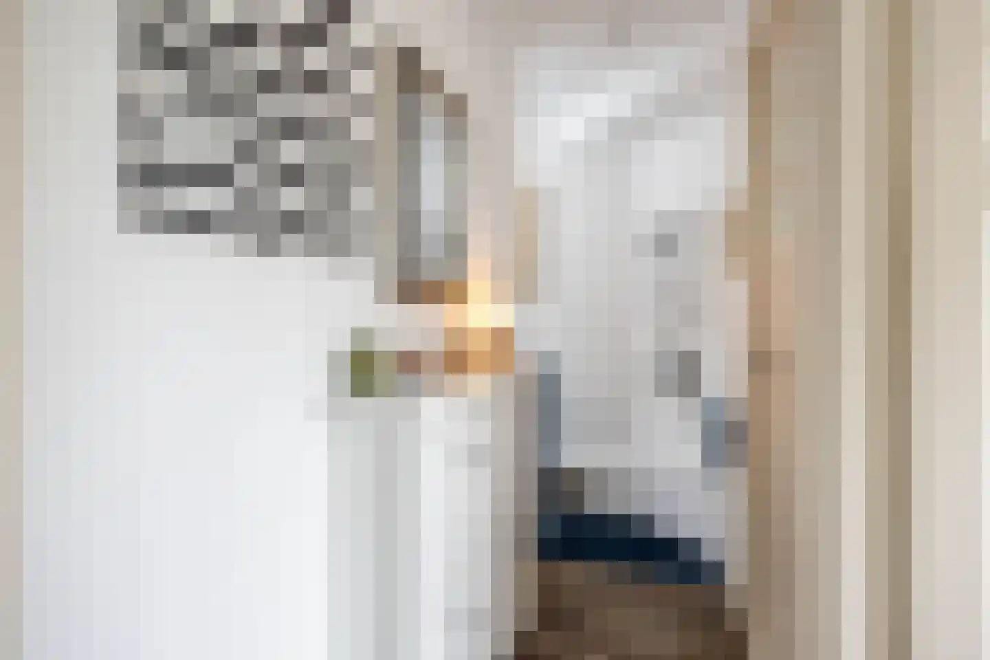 Rabenhauptstraat 31 Groningen thumbnail 29