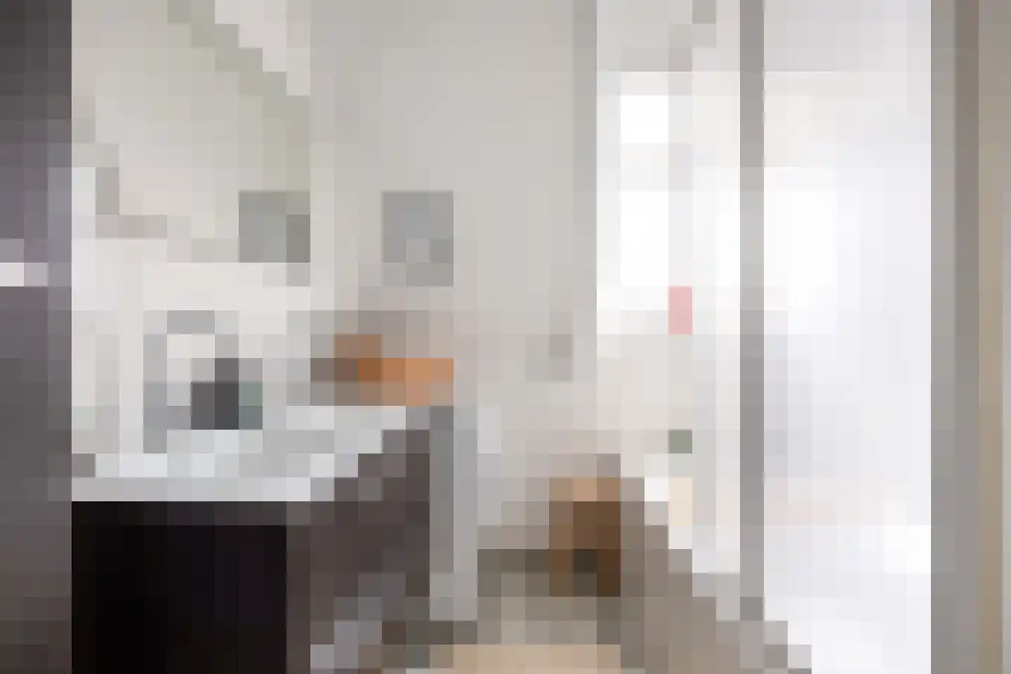 Rabenhauptstraat 31 Groningen thumbnail 31