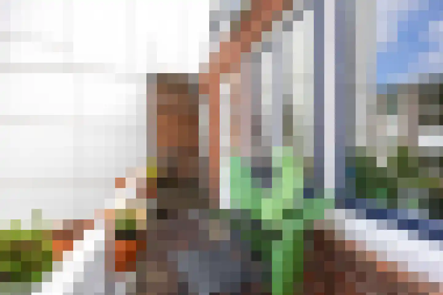Rabenhauptstraat 31 Groningen thumbnail 43