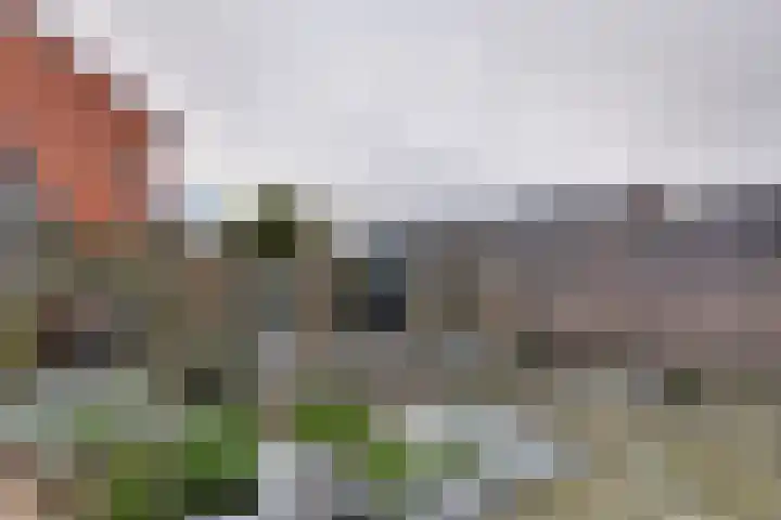 Rabenhauptstraat 37 Assen thumbnail 19