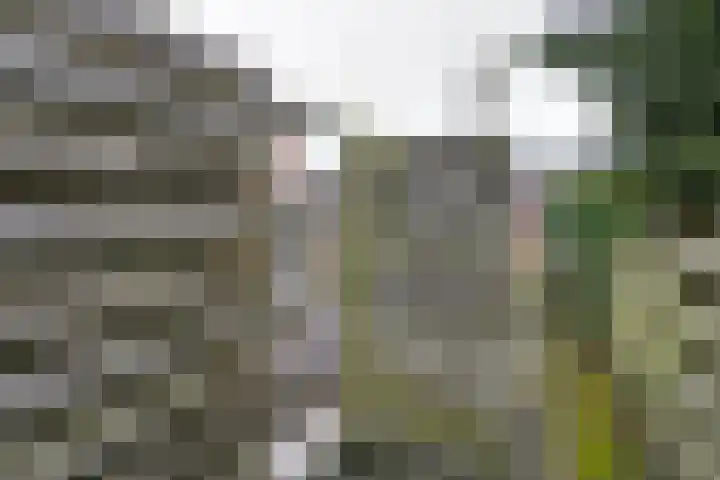 Rabenhauptstraat 37 Assen thumbnail 21