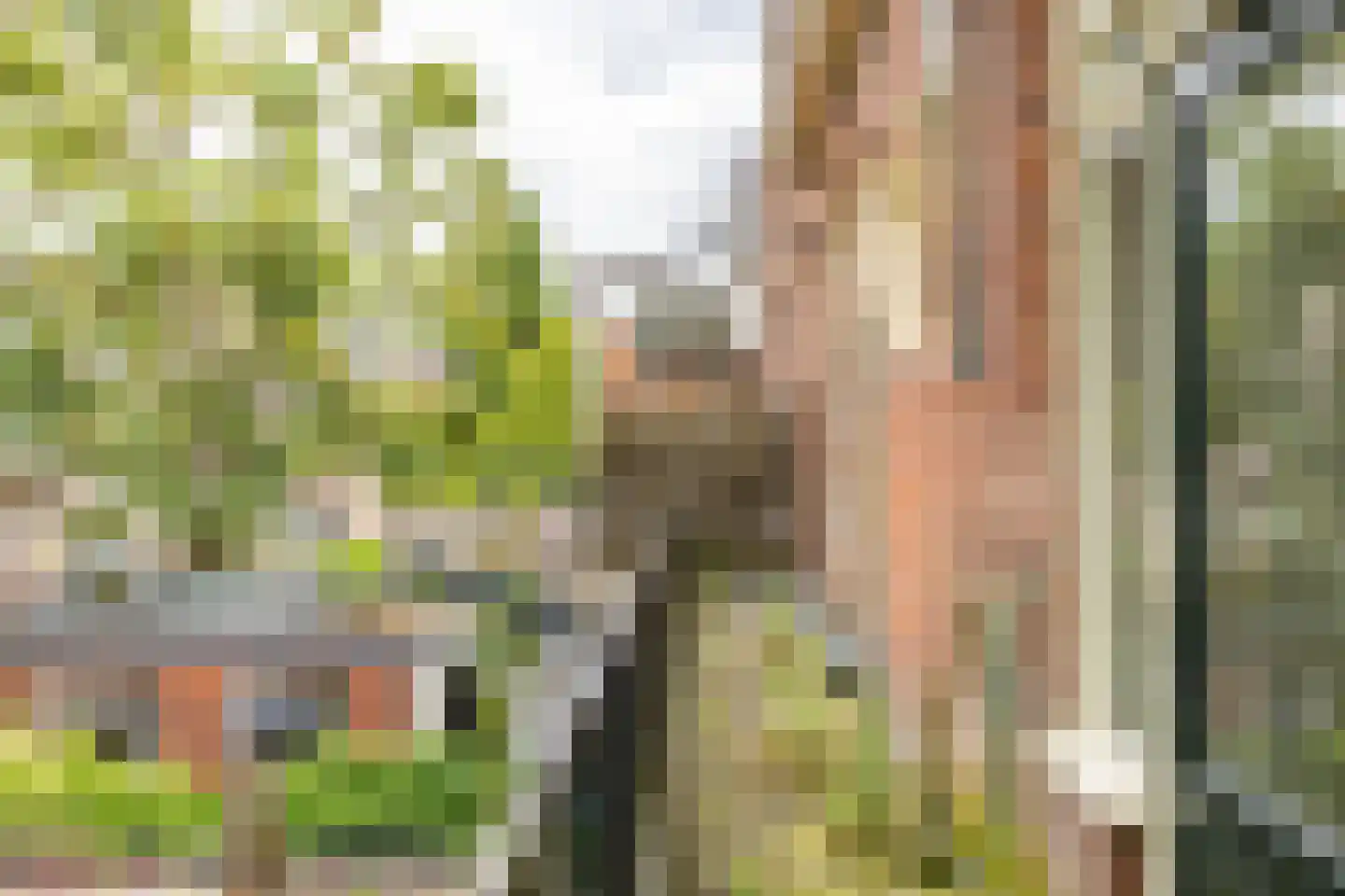 Rabenhauptstraat 39 a Groningen thumbnail 26