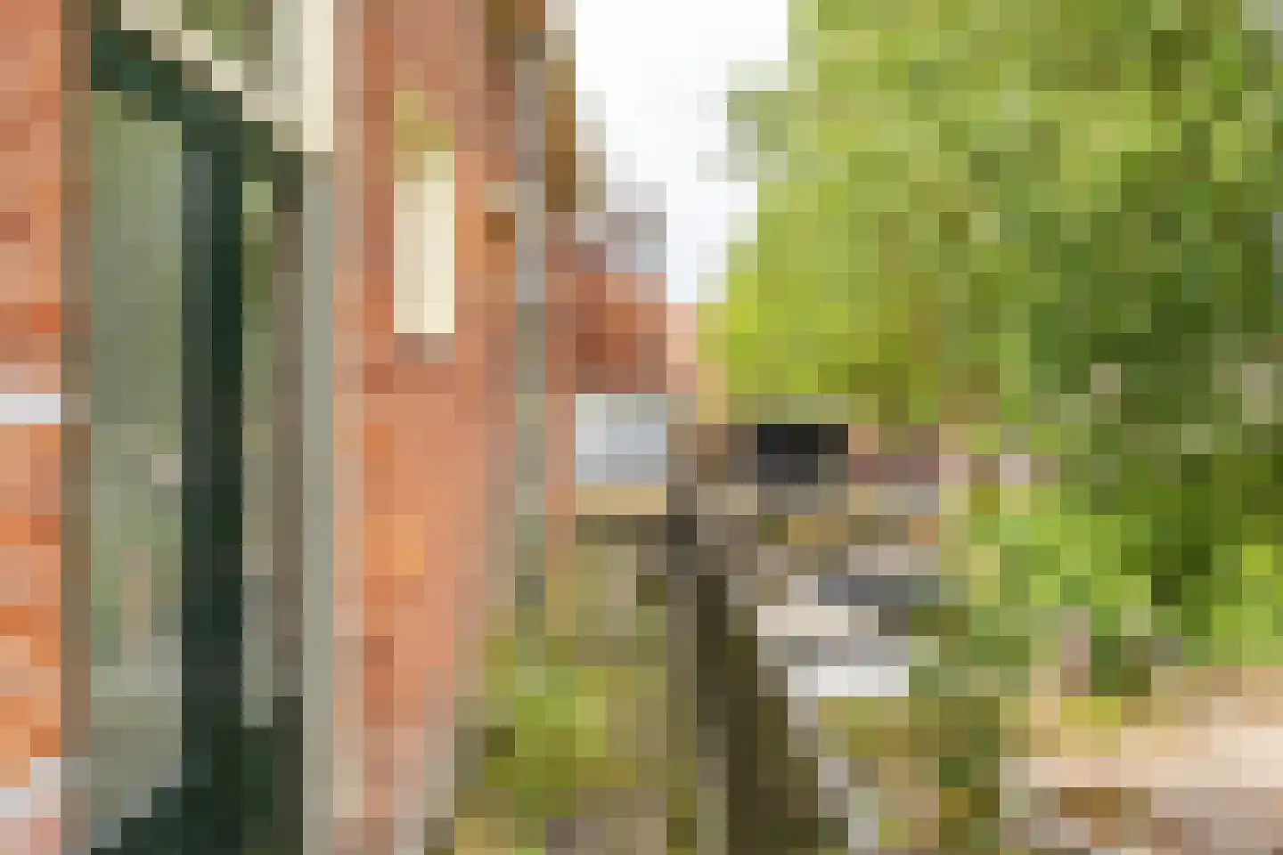 Rabenhauptstraat 39 a Groningen thumbnail 27