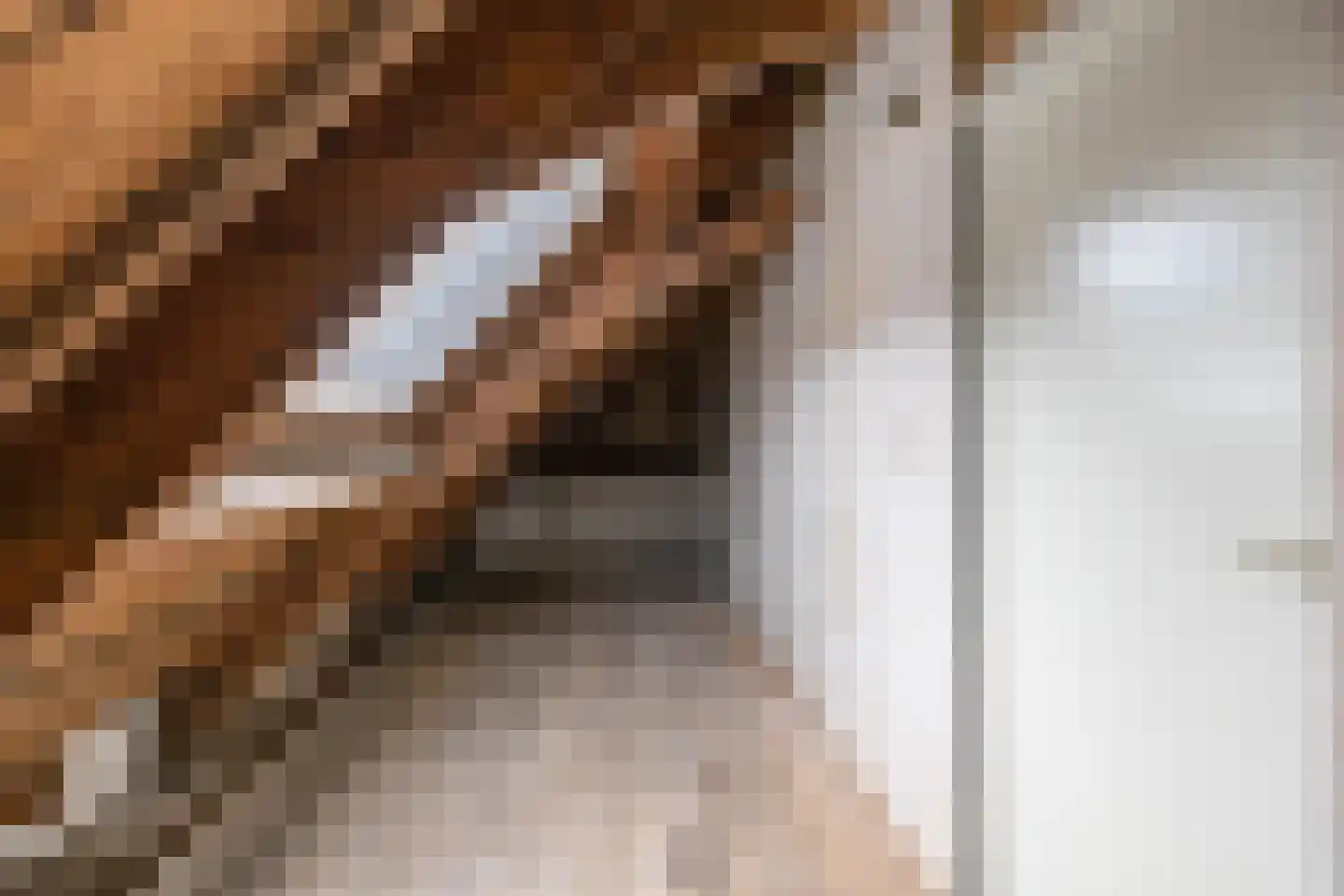 Rabenhauptstraat 39 a Groningen thumbnail 39
