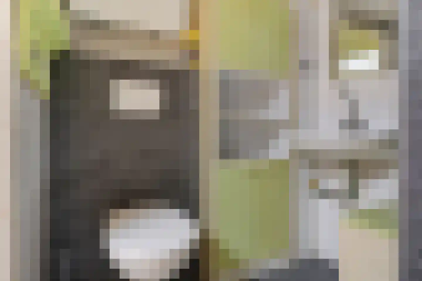 Rabenhauptstraat 43 Groningen thumbnail 11