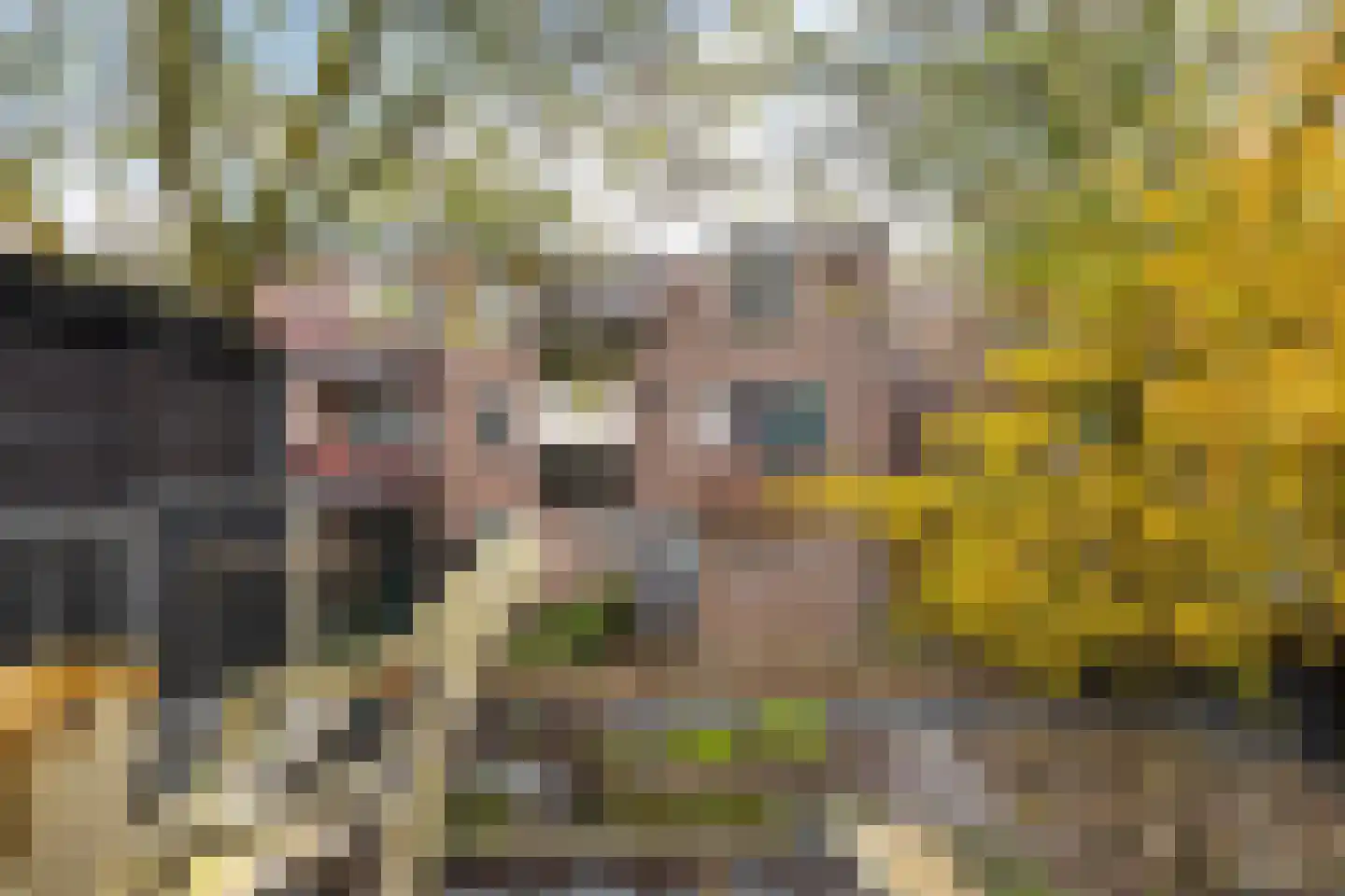 Rabenhauptstraat 43 Groningen thumbnail 31