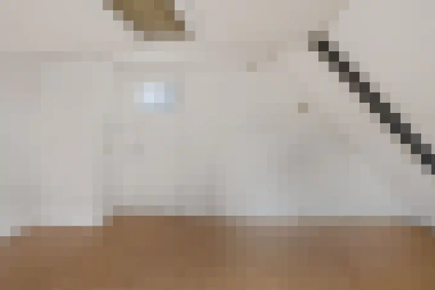 Rabenhauptstraat 43 Groningen thumbnail 32