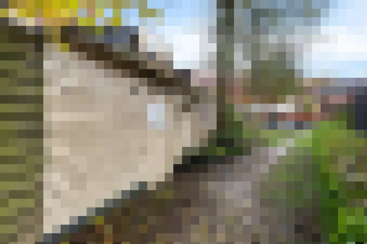 Rabenhauptstraat 43 Groningen thumbnail 37