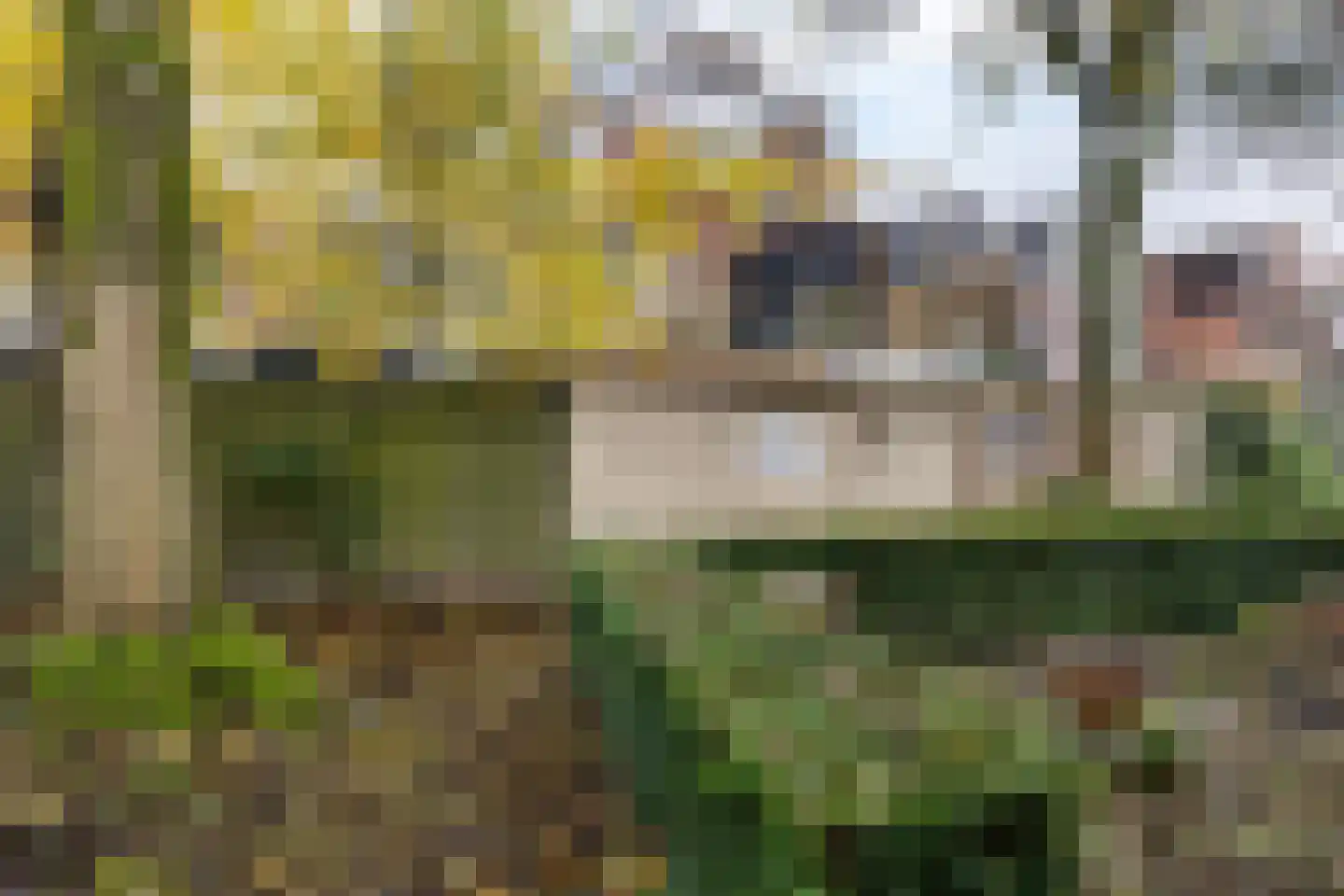 Rabenhauptstraat 43 Groningen thumbnail 39
