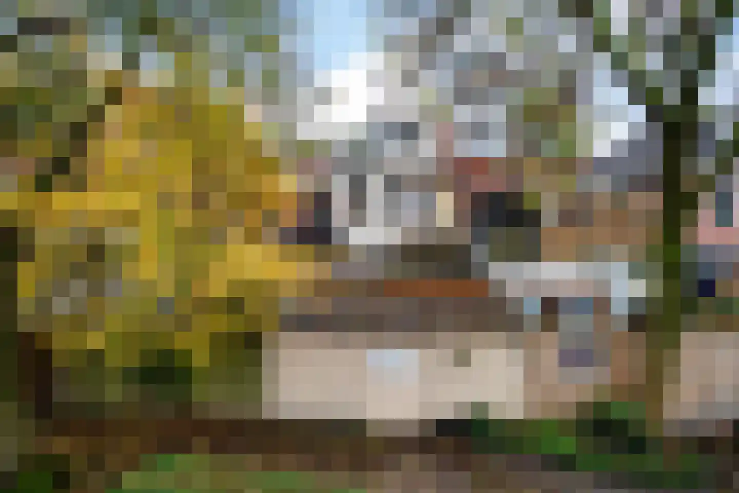 Rabenhauptstraat 43 Groningen thumbnail 40