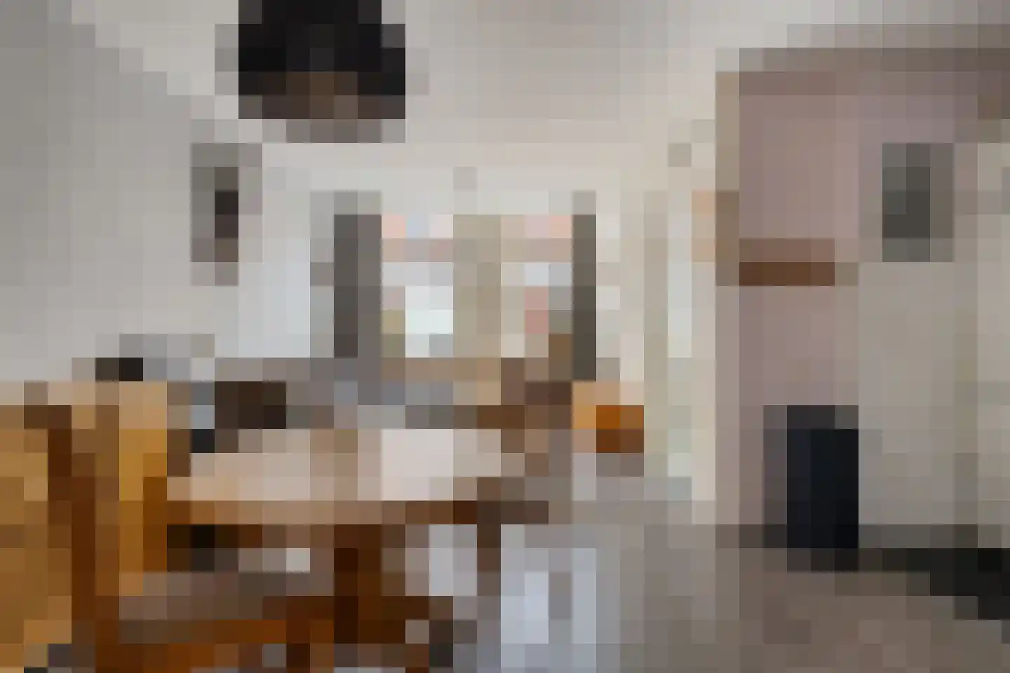 Rabenhauptstraat 43 Groningen thumbnail 6