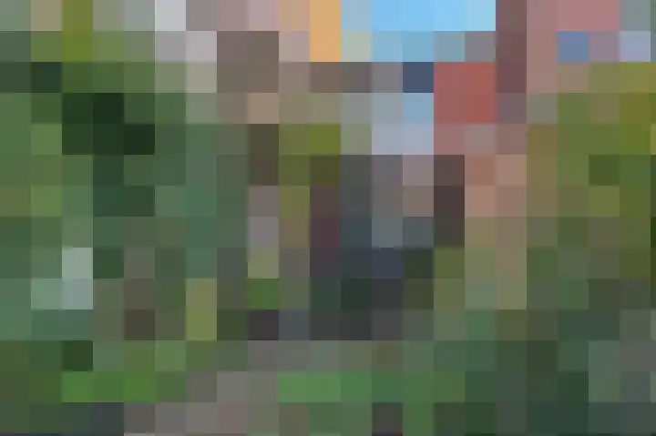Rabenhauptstraat 47 Groningen thumbnail 35