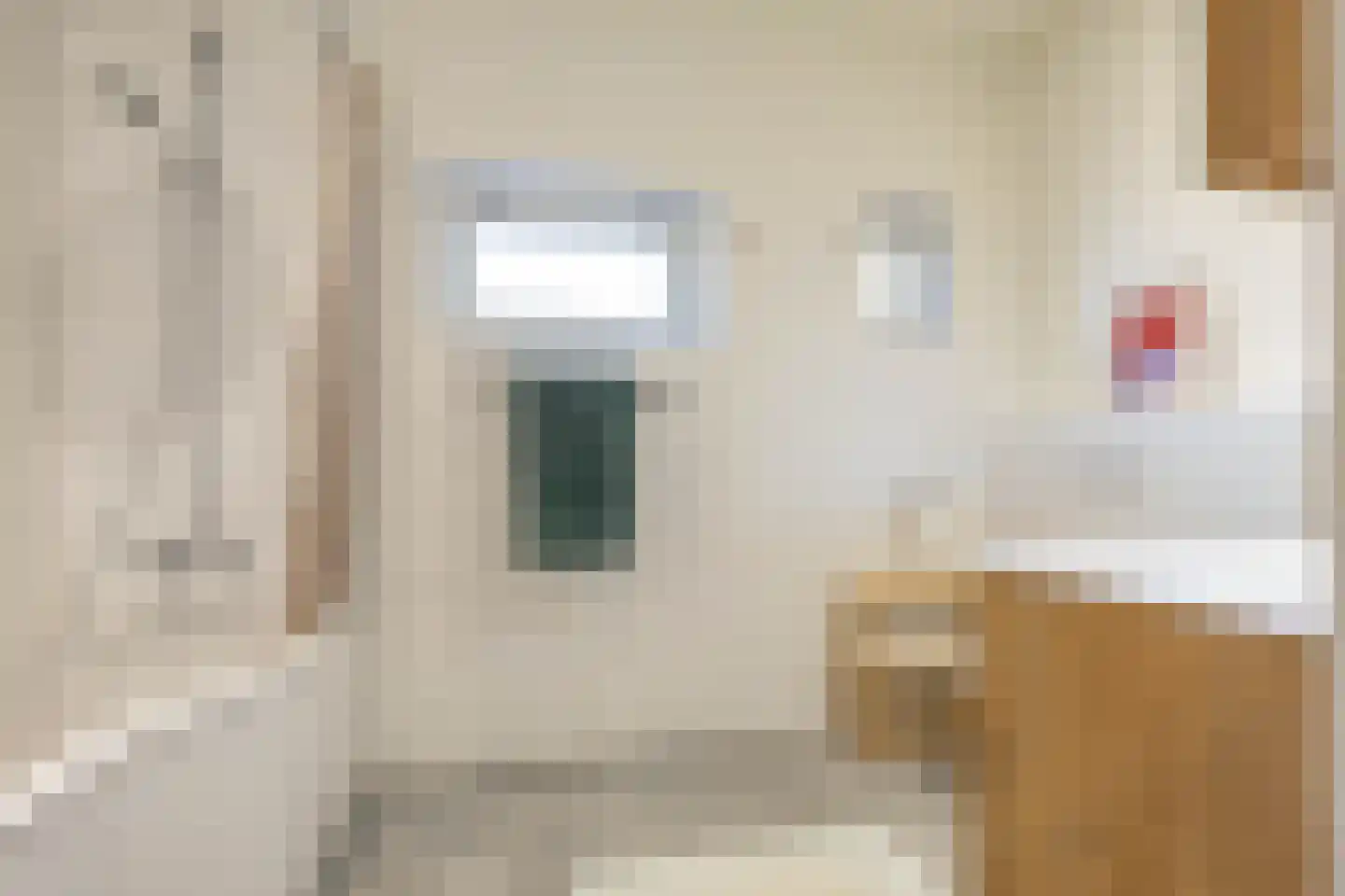 Rabenhauptstraat 68 Groningen thumbnail 22