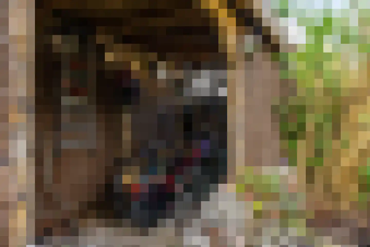Rabenhauptstraat 68 Groningen thumbnail 36