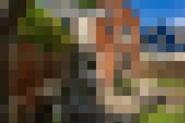 Rabenhauptstraat 70 Groningen thumbnail 19