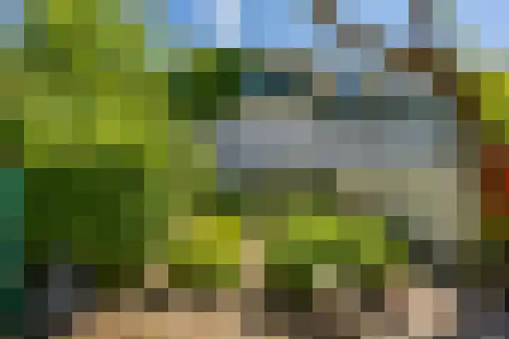 Rabenhauptstraat 70 Groningen thumbnail 20