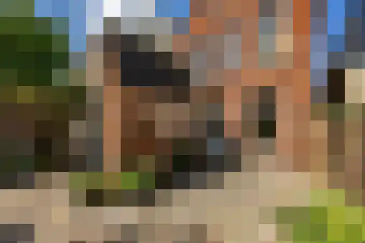 Rabenhauptstraat 70 Groningen thumbnail 21