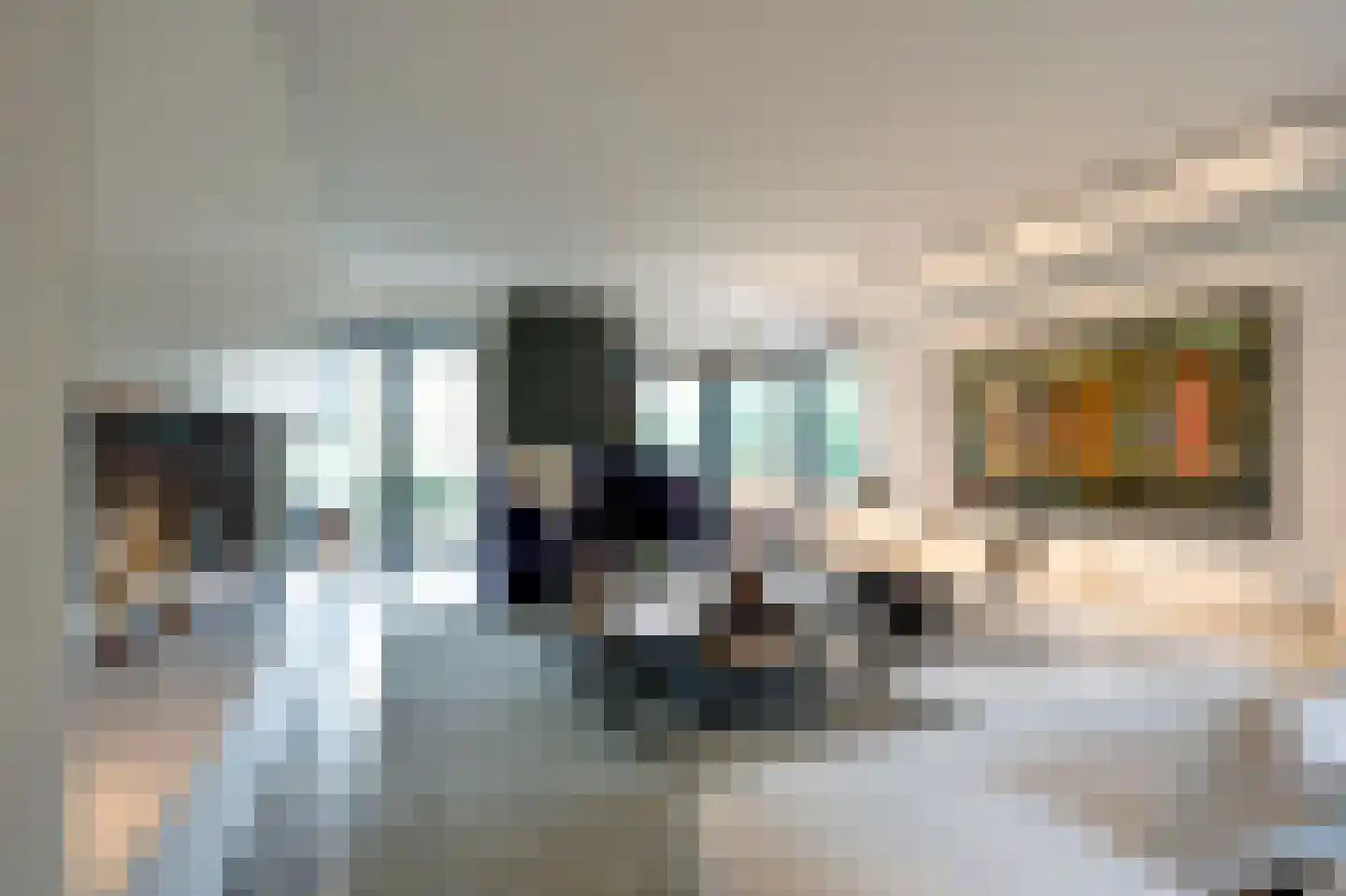 Raboes 14 Laren thumbnail 11