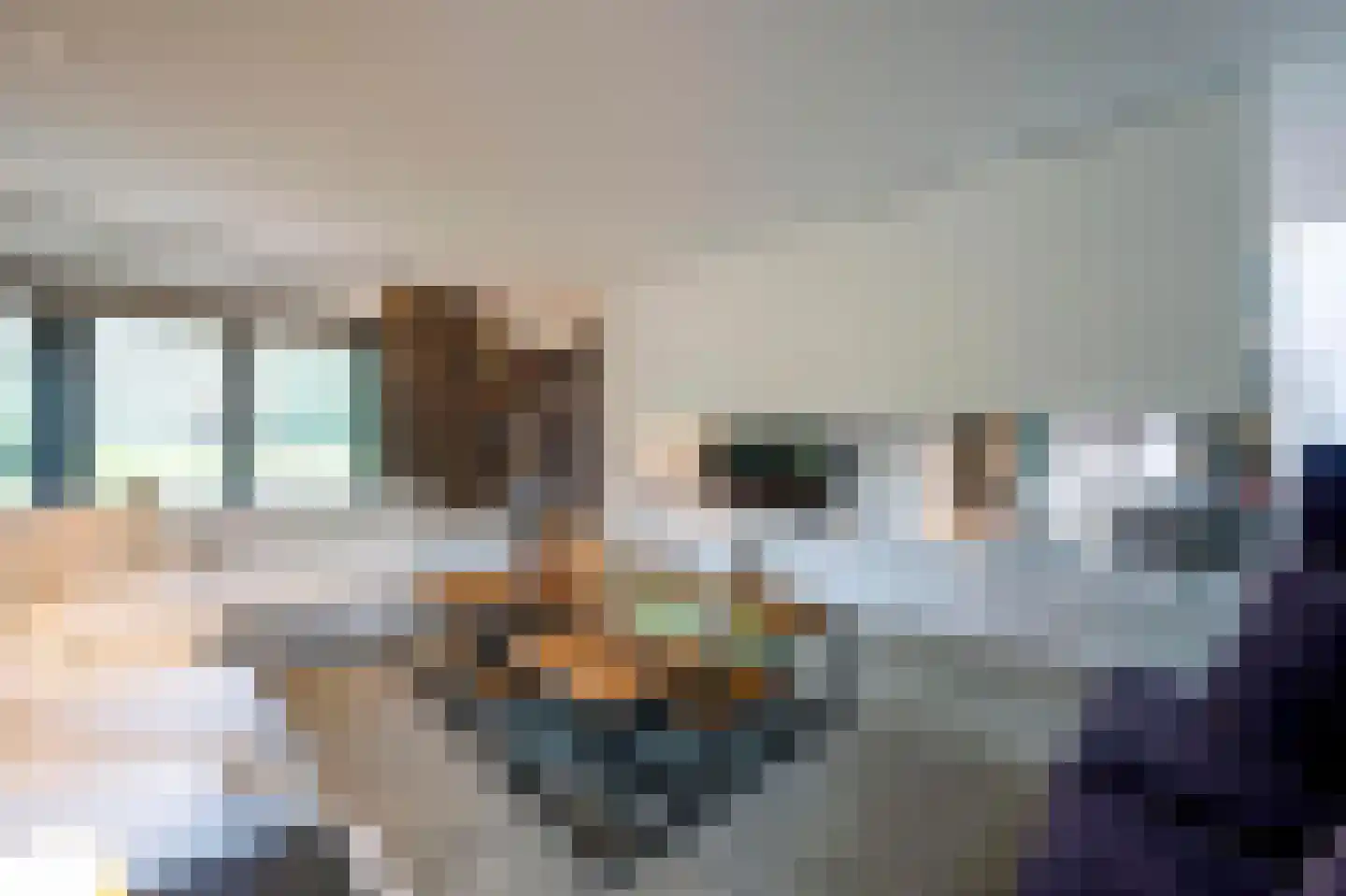 Raboes 14 Laren thumbnail 12
