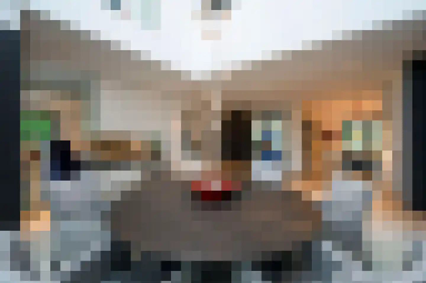 Raboes 14 Laren thumbnail 17