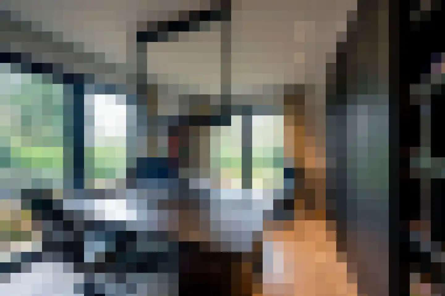 Raboes 14 Laren thumbnail 24