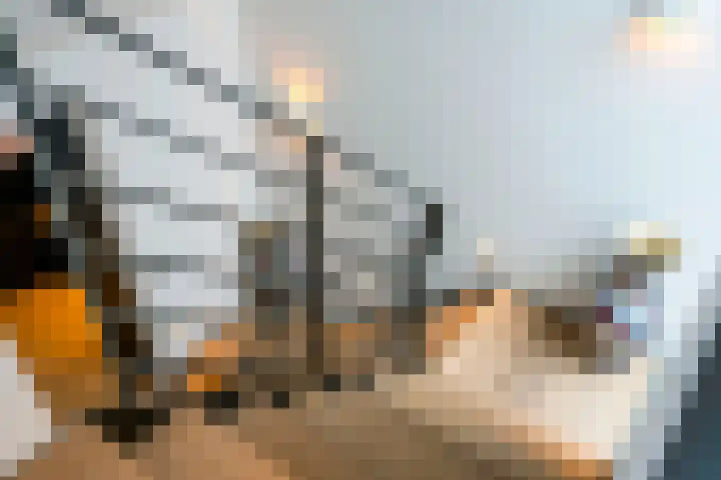 Raboes 14 Laren thumbnail 26