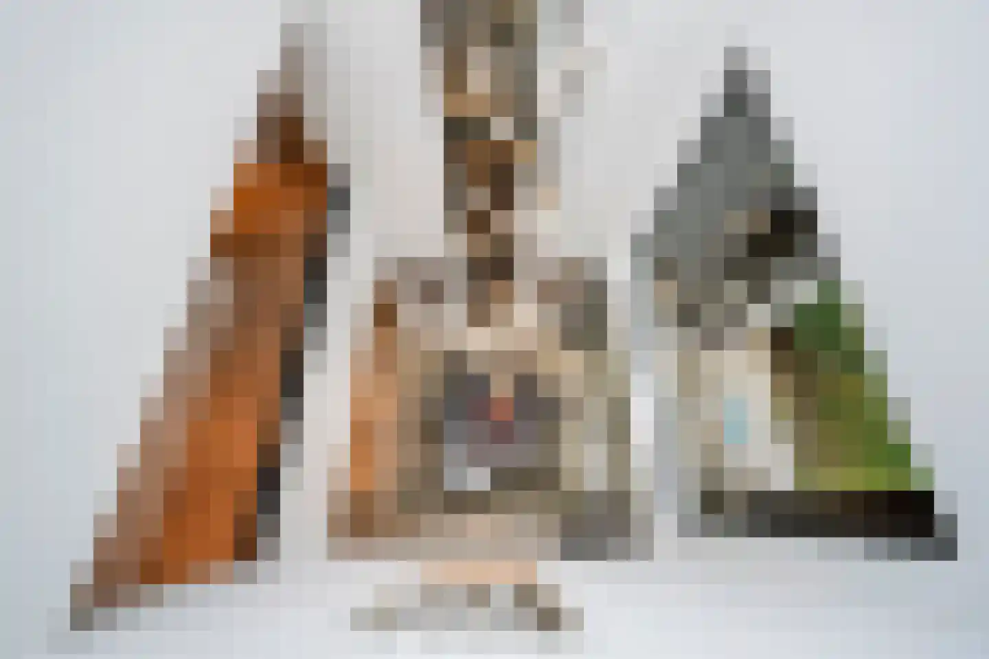 Raboes 14 Laren thumbnail 27