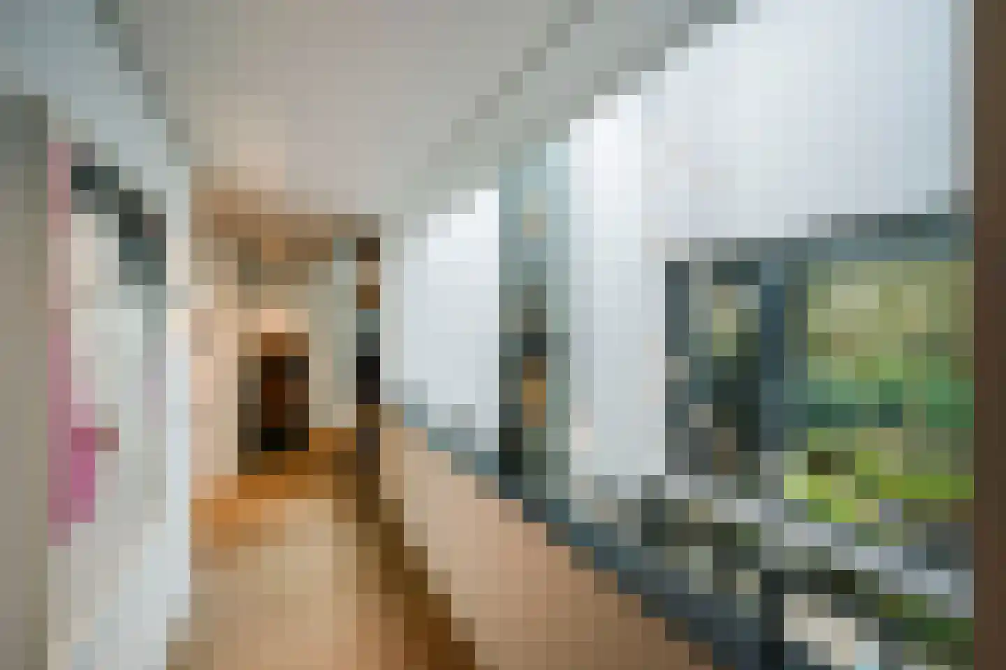 Raboes 14 Laren thumbnail 28