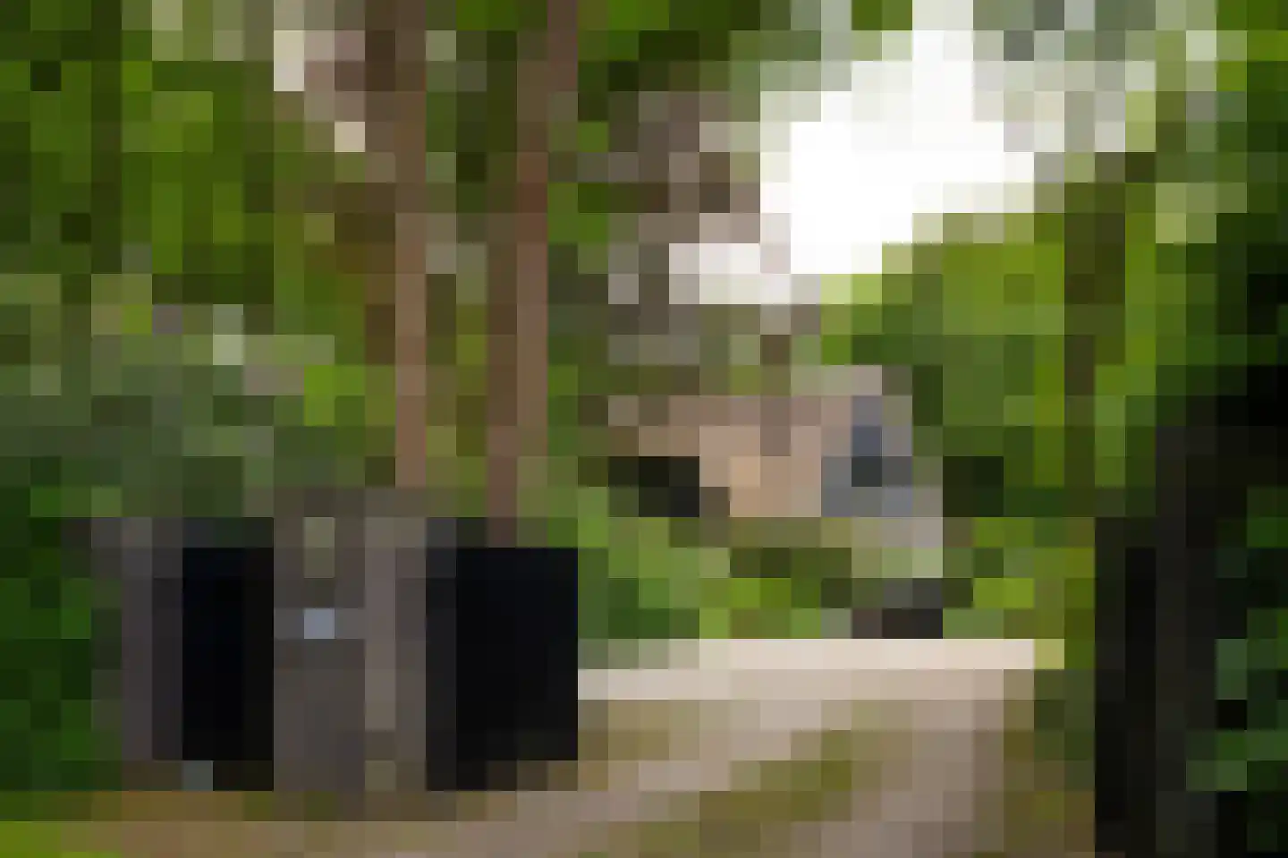 Raboes 14 Laren thumbnail 4
