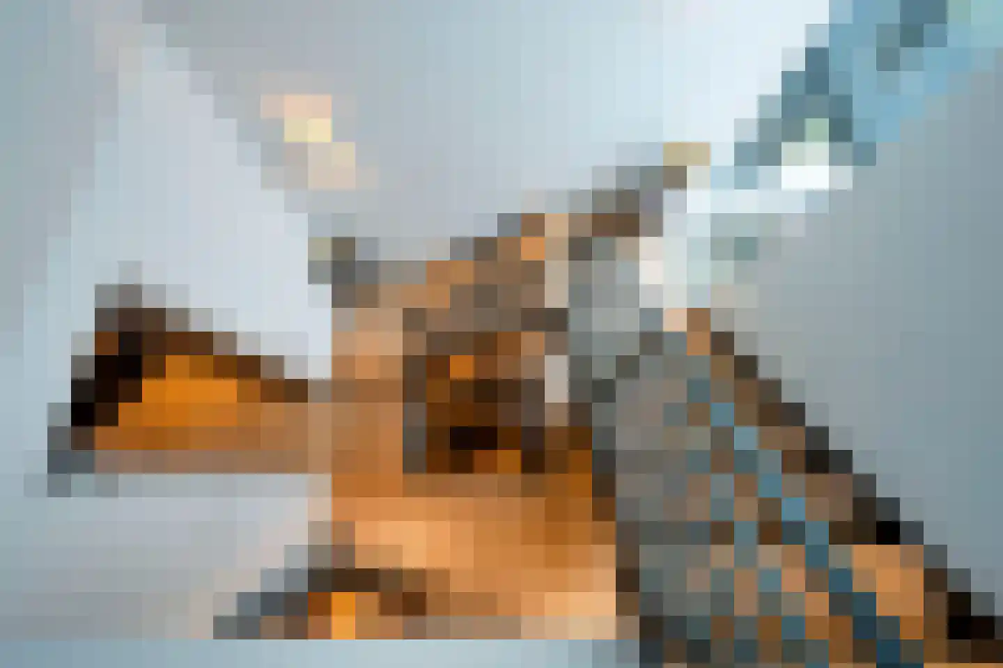 Raboes 14 Laren thumbnail 40