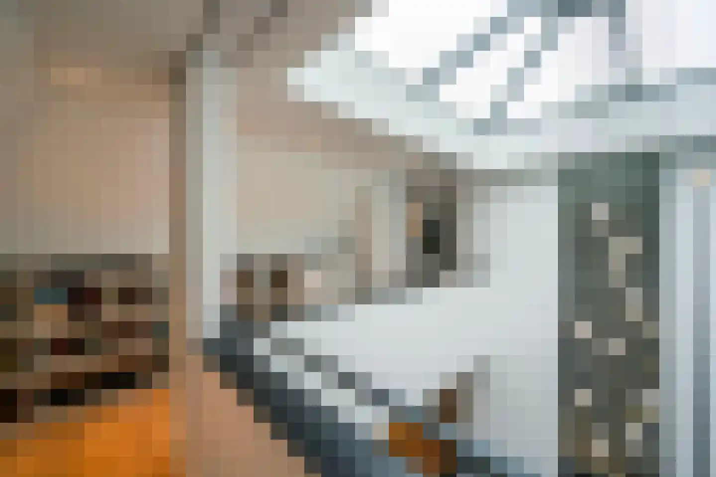 Raboes 14 Laren thumbnail 41